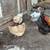 Chickens 3 thumbnail