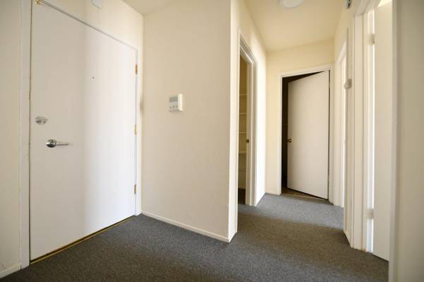 $2,945 / 2br - 2430 Dwight St., 2 Bed/1 Bath, Walk to UCB (berkeley)63880247733251122