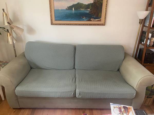 Sleeper Sofa-Pottery Barn 1