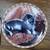 Decorative Cat Plates *Sold Separately* 7 thumbnail
