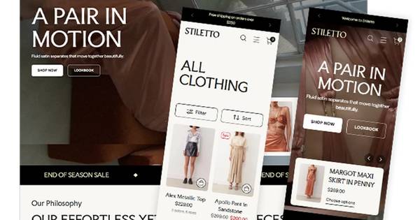 Stiletto Theme Customization & Development Jaipuria Geeks 1