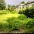 Overgrown Yard Clean Up~Lot Clearing~Tree & Hedge Trimming~Bush Hoggin 7 thumbnail