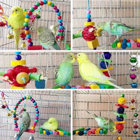 Bird Cage Toys 1