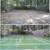 ROOF CLEANING/POWER WASHING/MOSS REMOVAL/PRESSURE WASHING/COMMERCIAL RESIDENTIAL 10 thumbnail
