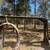 Forestry mulching & land clearing 1 thumbnail