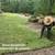 🌳 Tree Trimming • Junk Removal • Yard Clean-Up – FREE Estimates! 🌳 ( 5 thumbnail