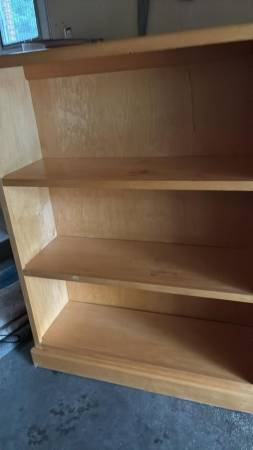bookshelf 1