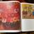 Coffee Table book "Primitive Painting", Oversized 4 thumbnail