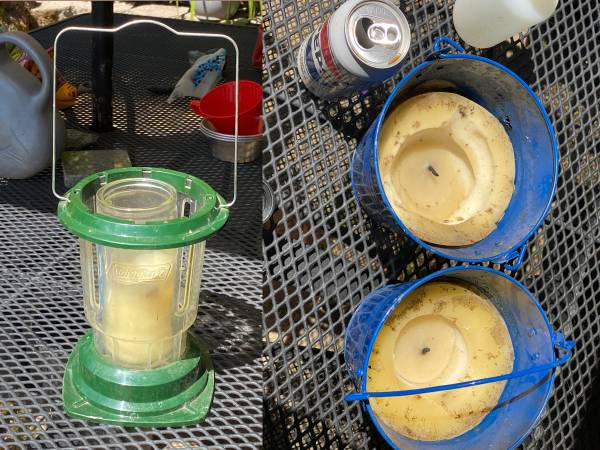 Coleman Citronella lantern & 2 Candles 1