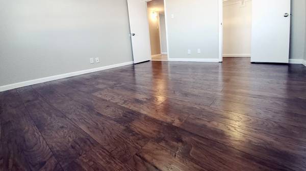 $1,250 / 1br - 891ft2 - Situated in Odessa!, Great management, 1bd 1ba (3904 Englewood Cir , Odessa, TX)63622616373121122