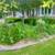 🌲🌳 Everything lawn care outdoor services 9 thumbnail