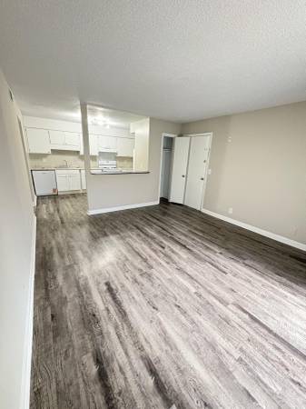 $1,125 / 1br - 630ft2 - 🏃‍♂️💨 ¡Date prisa! — ¡$300 de descuento al mudarte! Pocas plazas, vibras ilimitadas (Nashville)63673267834627122