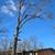 Lumberjacks Tree Services- Affordable Rates! Call today 3 thumbnail