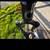 Habit 4 Mountain Bike with Kryptonite U-Lock 16 thumbnail