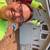 drywall and painting 18 thumbnail