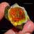 ✨ Magnificent 37ct Gem Opal – Rare, Natural, Premium Opal (Video!) 1 thumbnail