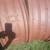14x38 rims 1 thumbnail