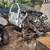 Ford Super Duty Parts Full Part Outs 18 thumbnail