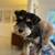 $48.00 / Night Dog Boarding - I make your life less Ruff! 5 thumbnail