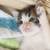 Kitten ( Muffin ) 2 thumbnail
