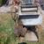 Antique Maytag Washers 4 thumbnail