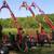 NEW logging trailer 6 Ton 9hp Heavy duty 19 thumbnail
