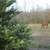 STUDIO FURNISHED; NO LEASE,INCLUDES ELECTRIC, 10 ACRE FARM UNIQUE 10 thumbnail