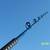 fishing rod for sale 3 thumbnail