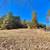 2.05 acres, Lot 83 has flat build site! 6 thumbnail