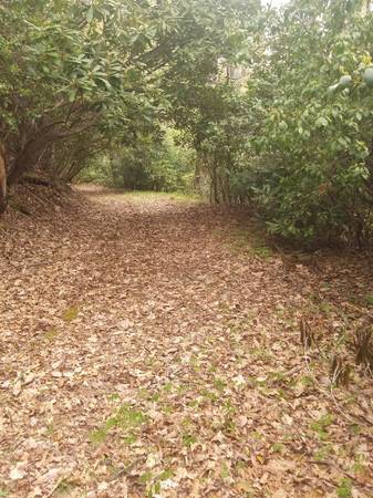 $82,000 5.7 wooded acres / 2 spring heads (Tuckaseegee)64029374048259121
