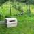 Laying chicken hens 3 thumbnail