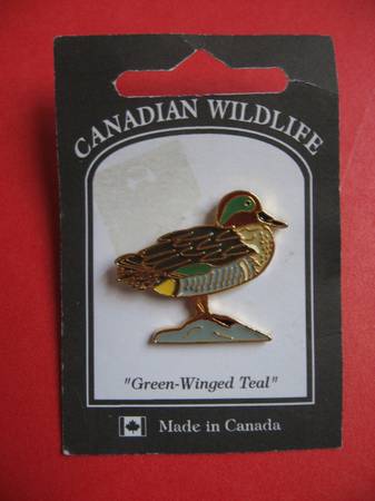 NEW Canadian Wildlife Green-winged Teal Duck Pin Handcrafted 1