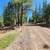 /mo..Wooded Lot near Alturas with Mountain Views! 2 thumbnail
