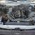 toyota pickup truck parts STOCK B37 10 thumbnail