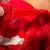 2) BUD MAN BUDWEISER Beer Hats 9 thumbnail