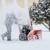 Snow Removal Technician- $25.00-$30.00 an hour (Waunakee) 1 thumbnail