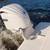 2002 Solid Powerboats 26 CC | 2022 Yamaha F300 | Miami 10 thumbnail