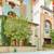 Gourmet Kitchen | Hardwood-style Flooring | 2 Bedroom 2 Bath in Encino 23 thumbnail