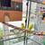 4 Young Parakeets w/ Ultra Nice, Large Flight Cage 3 thumbnail