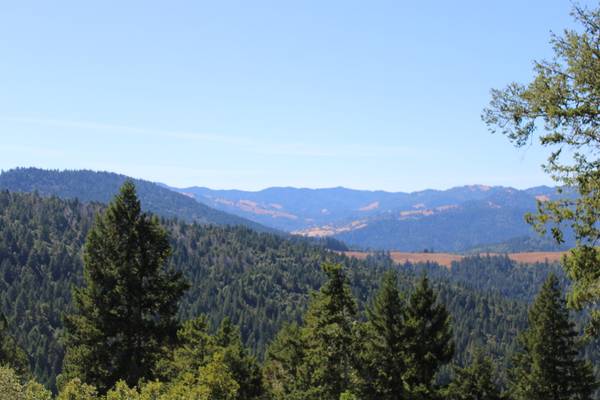 $1 🌿 Cannabis Properties Available – Permitted & Ready to Go! 🌿 (Garberville)63946803738242121
