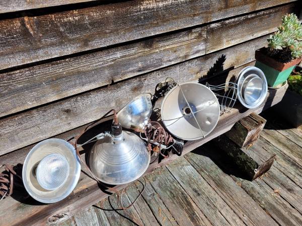Chicken coop heat or lighting lamps 1