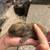 Hooland lop Black Tort 10 thumbnail