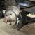 26,000 Original miles 1990 Chevy Silverado 2-wd longbed 9 thumbnail