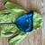 Reduced Baby fall, winter clothes, size 18month- 2-3 years 17 thumbnail