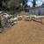 Rams 4 thumbnail