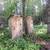Outhouses 1 thumbnail