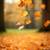 FALL CLEANUP!! 1 thumbnail