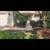 Landscaping- Best quality and prices in town 10 thumbnail