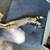 Kitten Adoption Event Oct 2nd 4 - 7 pm - @ The Black Cat 8 thumbnail