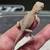 Bearded Dragon Baby's 12 thumbnail